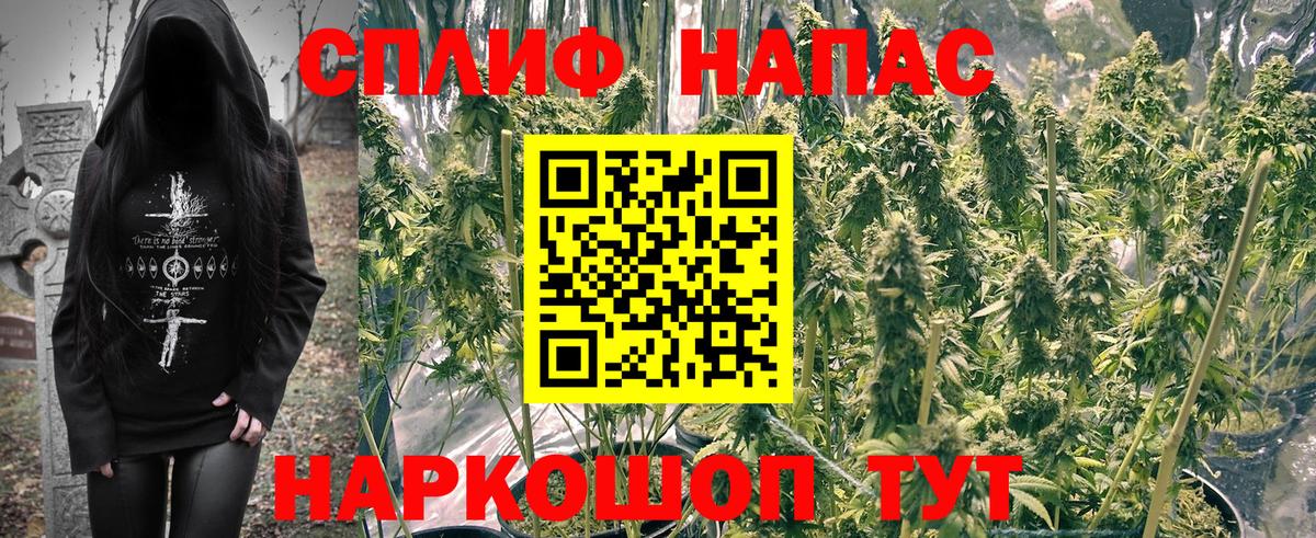 МАРИХУАНА семена  Конопля LSD WEED  Шишки марихуана White Widow  Каннабис тримм  Новоалтайск  Вход с VPN 